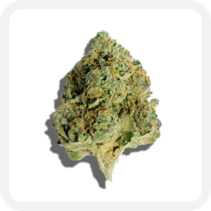 Solar Citrus (Sativa)